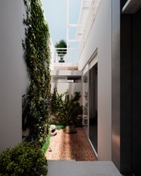 Patio de iluminación con jardín seco y enredaderas.